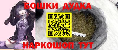 СК Сланцы
