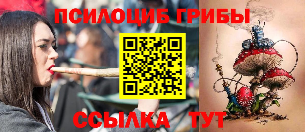 Галлюциногенные грибы Magic Shrooms  Галлюциногенные грибы ЛСД  Вход с VPN  что такое наркотик  Новочеркасск 